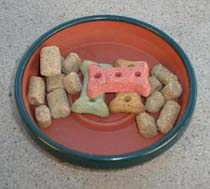 Lab Blocks and Dog Biscuits